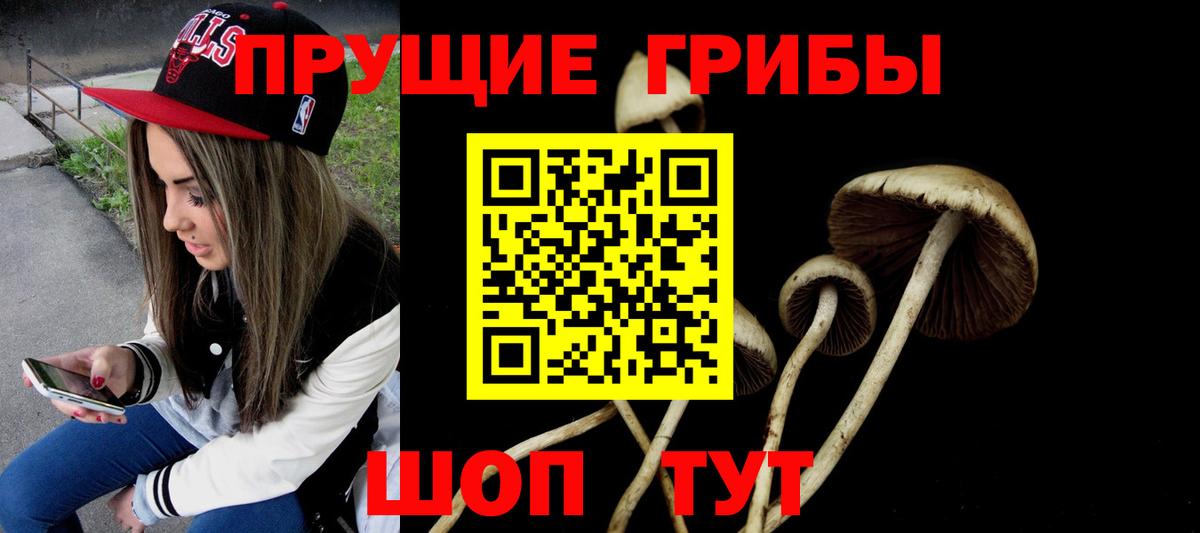 Псилоцибиновые грибы Cubensis  Галлюциногенные грибы Psilocybe  Вход с VPN  Шебекино 